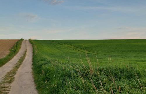 Agroturystyka Bierna. Gospodarstwo rolne. - Foto 14