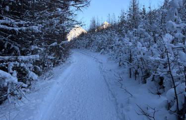 Maison Jacquemin - Foto 22