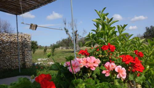 giardino del tempo - Foto 2, Garden