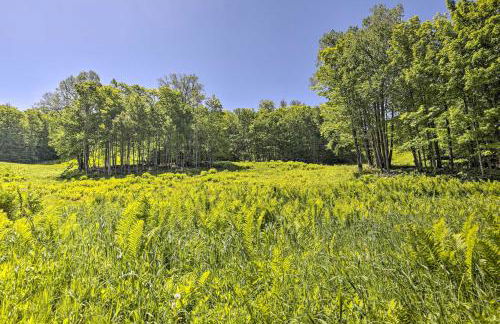 Upson Ski-InandSki-Out, End-Unit Cabin with Fireplace! - Foto 27