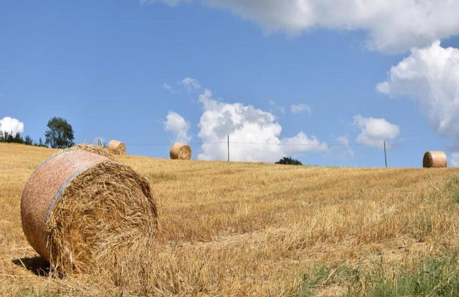 Villa in Umbertide With Pool and Garden - Foto 39