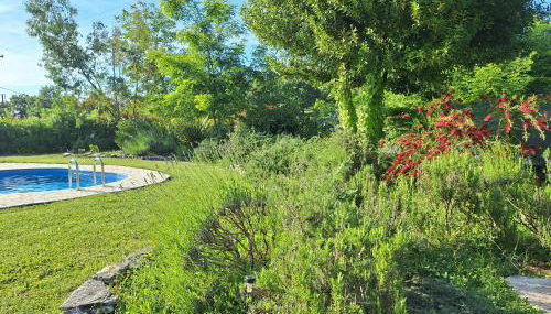 Villa Malini - Foto 2, Garden