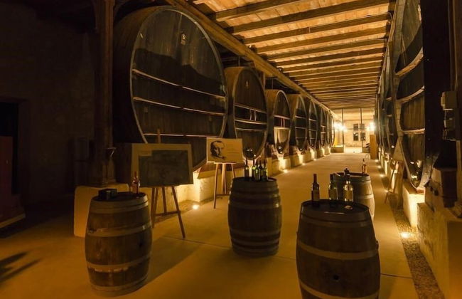 Gîtes Pech-céleyran - Photo 38