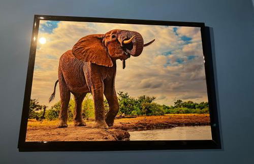 KIOTA, the Nest in the heart of Milan - Foto 32