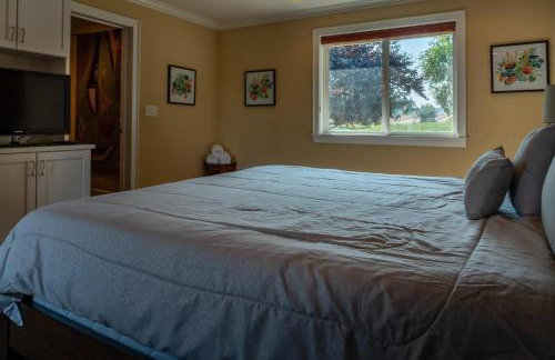 Estrella Vineyard - Photo 23