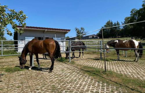 Bei Dörflingers - Foto 16