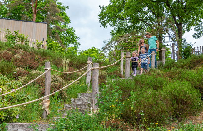 2 bedroom House in Belfeld with swimming pool and terrace - Photo 32