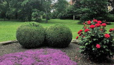 Ferienwohnung Am Hofjägerhaus - Foto 2, Garden