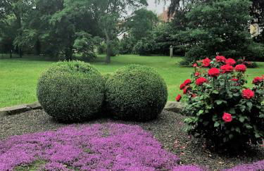 Ferienwohnung Am Hofjägerhaus - Foto 2