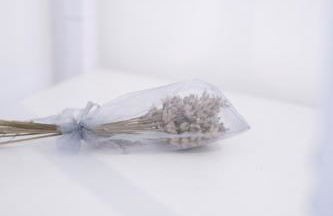 Rosmaris - Villa nel verde - Foto 16