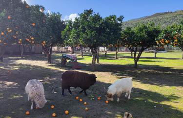 Quinta da Ponte das Hortas 2 - Foto 20