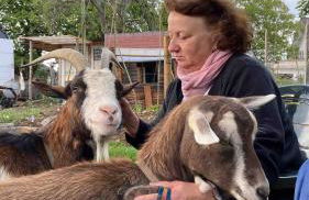 Apartment im Wanderparadies Siebengebirge - Foto 14