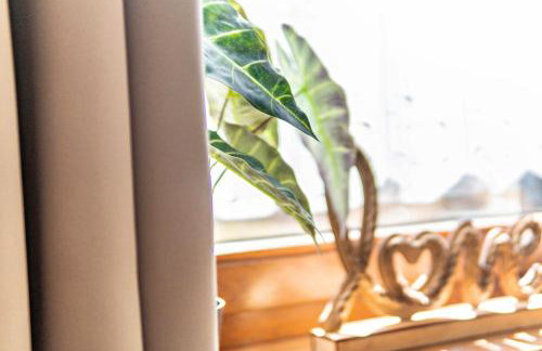 Fewo mit Terrasse - Hunde erwünscht - Photo 6