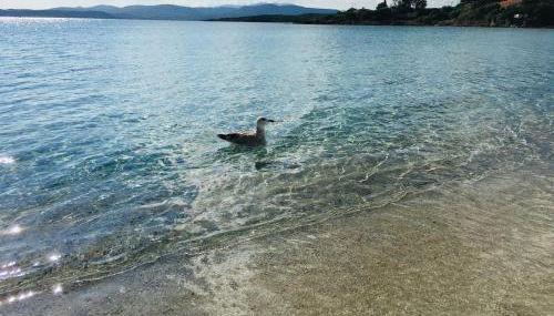 Beach House Ilaria- Smeraldo Apt - Photo 2