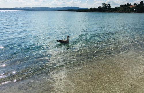 Beach House Ilaria- Smeraldo Apt - Photo 2