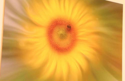 Maison tout inclus avec sauna à venir - Animaux acceptés - FR-1-497-258 - Foto 10