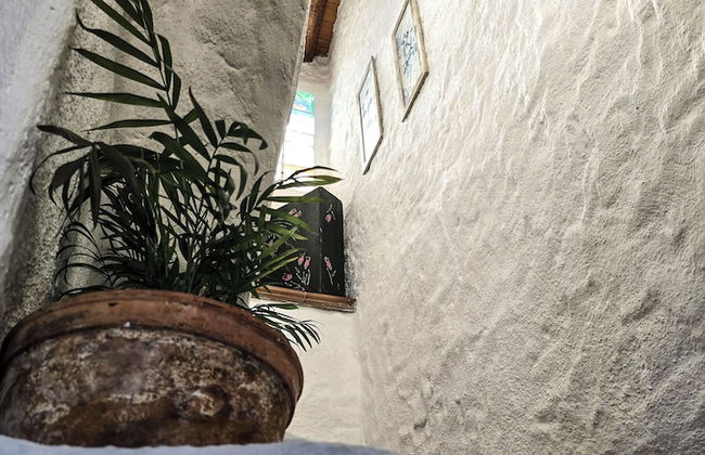 Casas rurales la Tejeruela - Foto 53