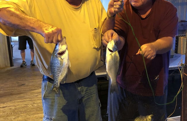 Point View Resort - Foto 72