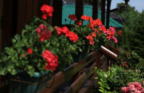Brvnara Moj san - Log cabin My Dream - Foto 35