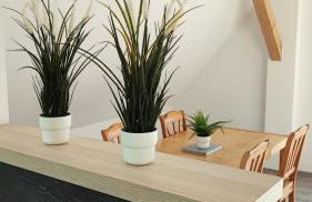 ZV38-Damm-3 - Foto 1