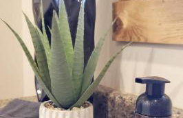 Revered Hidden Lake Lodge East Zion & Bryce - Photo 32