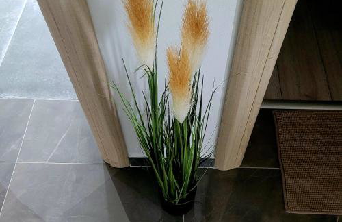 Apartman Mate - Foto 22