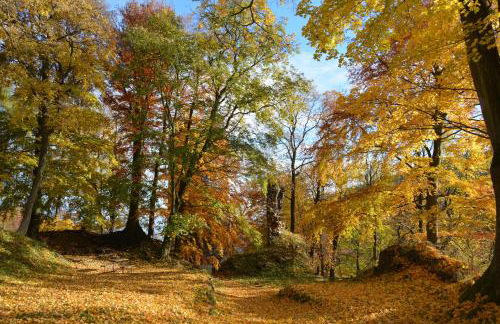 Verlegerhaus Seiffen - Foto 37