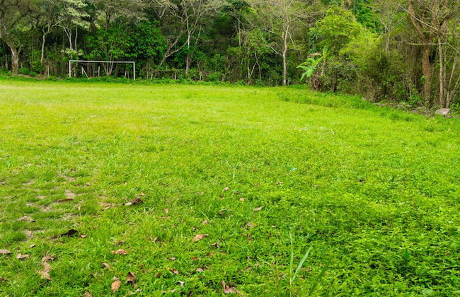 Casa de campo Los Yungas - Photo 23