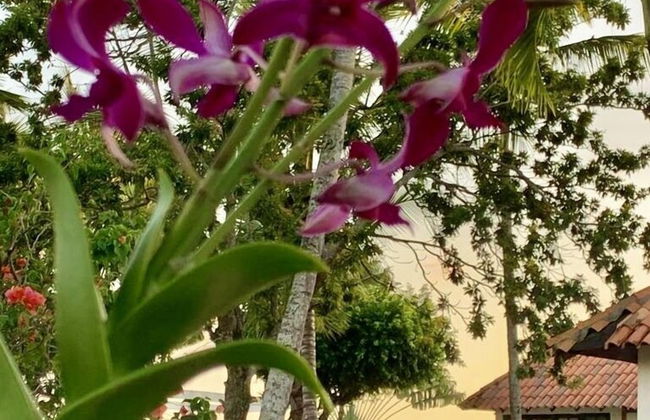 ON THE Cliff IN THE Caribbean SEA - Villa Ilaria - Foto 37