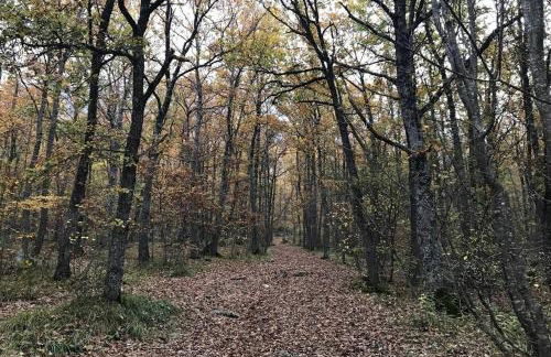 Rifugio del Gran Sasso - Foto 46