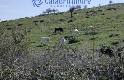 CalabriAmore Appartamento - Foto 18