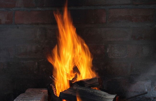 Groeneweide - Foto 47