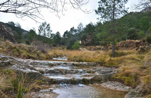 Casa LLovet - Foto 14