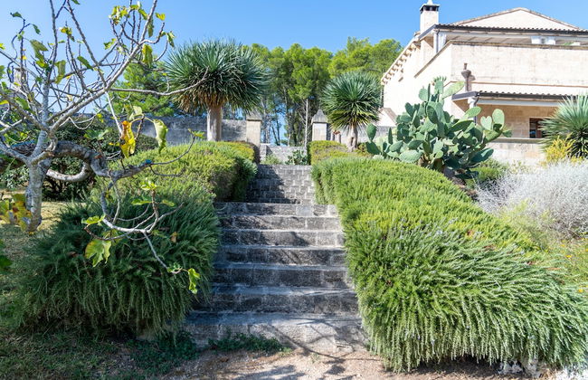 Masseria Caliani - Foto 66