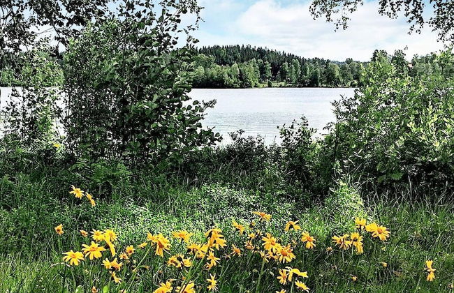 3 Person Holiday Home in Hok - Photo 18