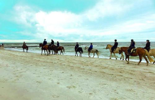 Ostsee-Ferienwohnung Uhlnüst Graal-Müritz - Foto 28