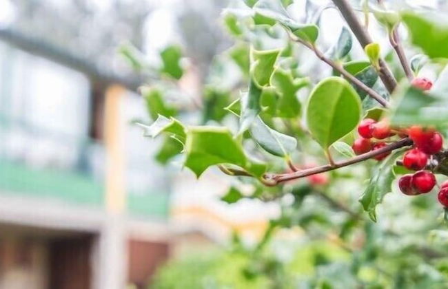 Casa da Urcela - Photo 56