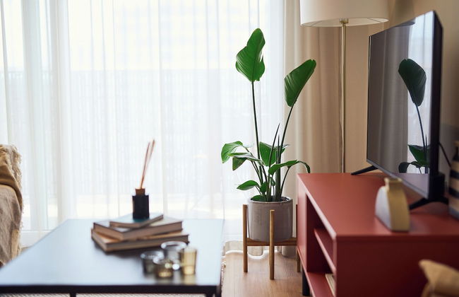 The Blossoms - Foto 44