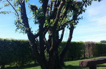 Agriturismo Morgan - Foto 26