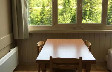 RÉSID BEC DE L AIGLE Studio 21 - LE LIORAN - Photo 4