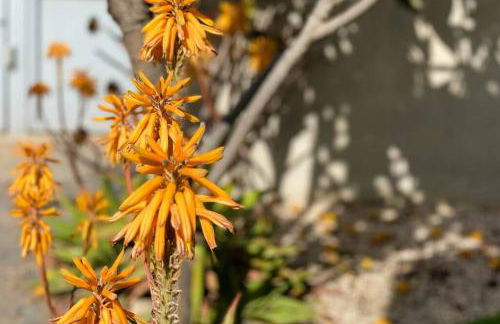 Casa La Mar. Relax y bonitas vistas Cala Palmeretes - Photo 33