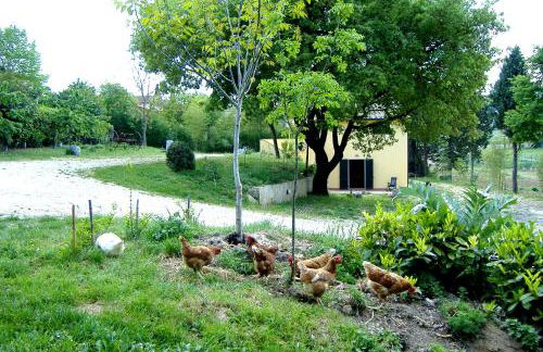 Agriturismo La Roverella - Foto 67