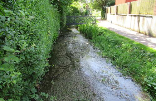 Wedgewood Annexe - All the comforts of home - Foto 14