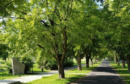 Ferienwohnung An der Dorfmauer - Foto 31