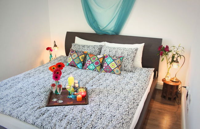 Maltese Maltese - Foto 29