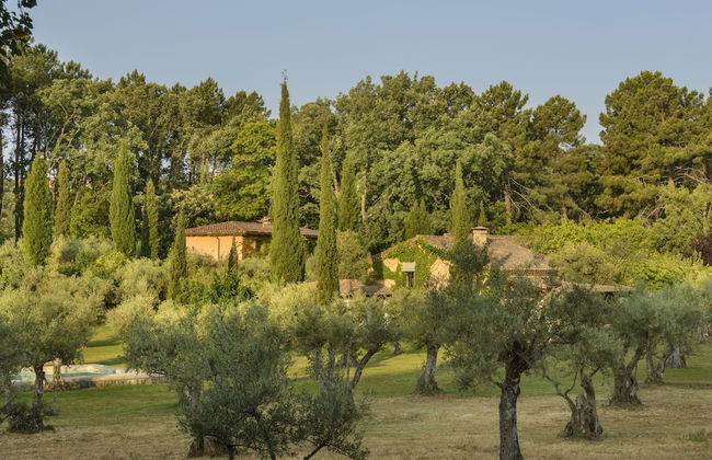 Vaquería Canta el Gallo - Photo 48