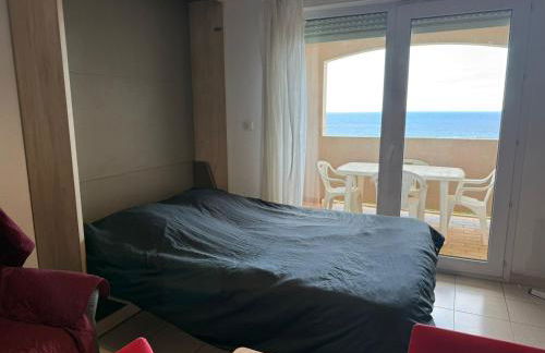 Studio cabine à Banyuls-sur-Mer avec terrasse - FR-1-309-210 - Foto 12