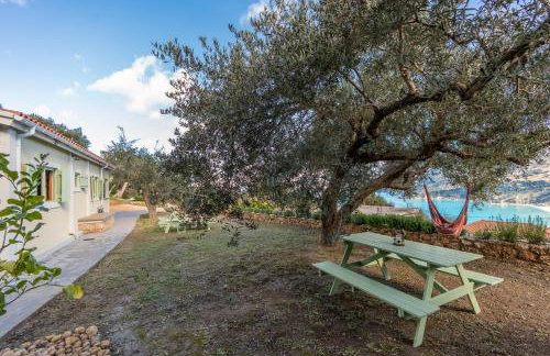 Villa lito - Photo 56