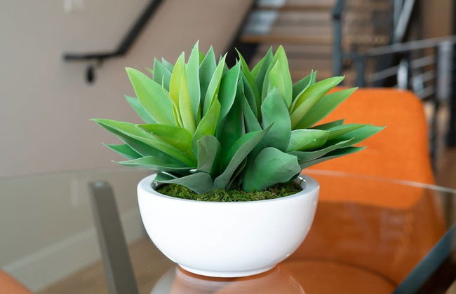 Frida's Abode Walk to the Stadium Rooftop View - Photo 12