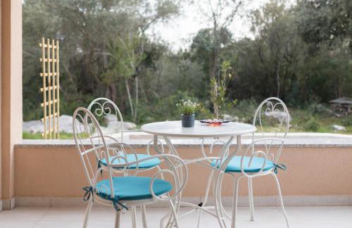 Agava - Photo 49